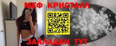 индика Ставрополь