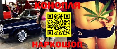 индика Ставрополь