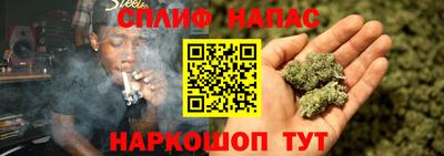 трава Славгород