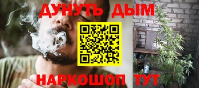индика Ставрополь