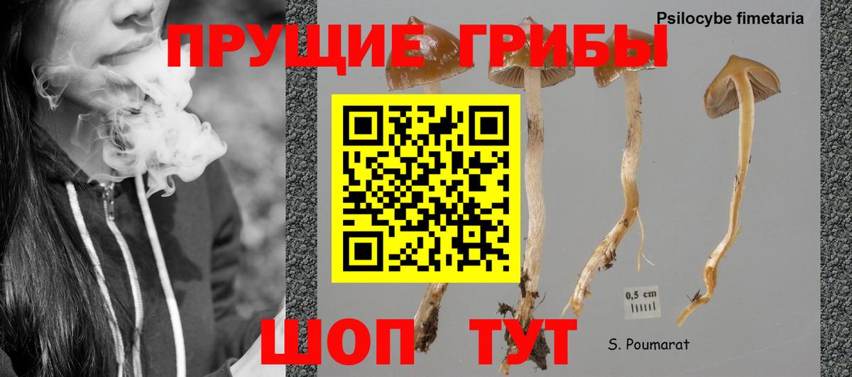 Псилоцибиновые грибы GOLDEN TEACHER  Вход с VPN  Белебей 