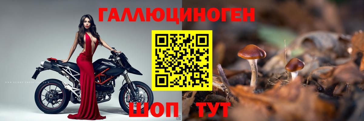 Галлюциногенные грибы GOLDEN TEACHER Белебей